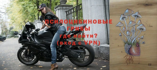 мдма Новодвинск