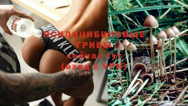 прущая мука Армянск